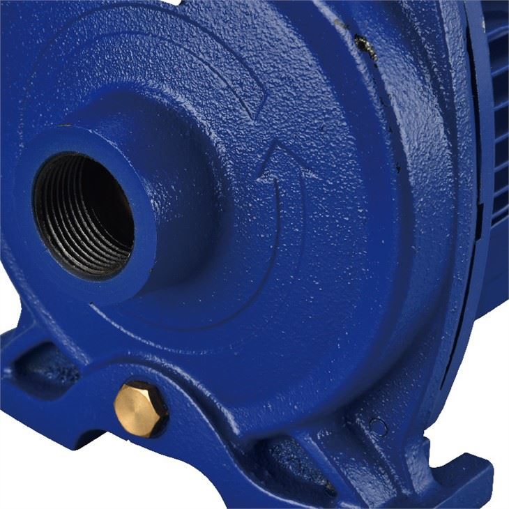 centrifugal pump  (8)